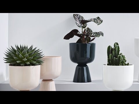 Tendencias Actuales en Decoraci&oacute;n de Terrazas con Maceteros