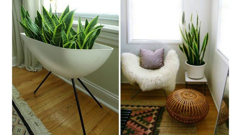 Inspiración de Diseño de Interiores con Plantas