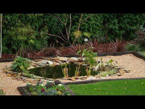 Estanques Decorativos: Embellece tu Hogar con Naturaleza