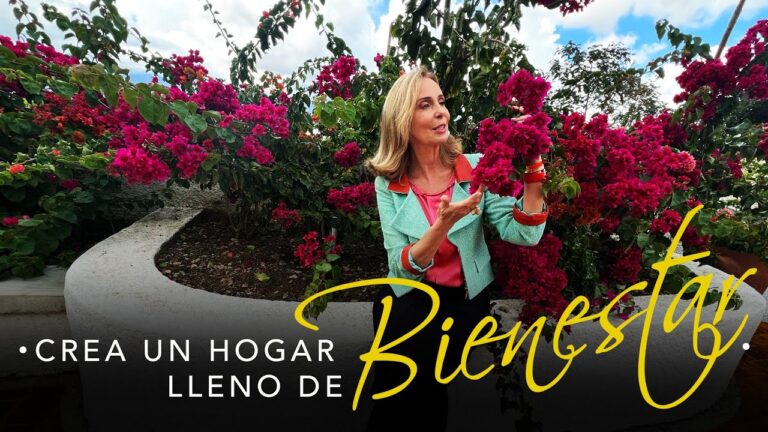 Bienestar en el Hogar: Claves para el Relax Total