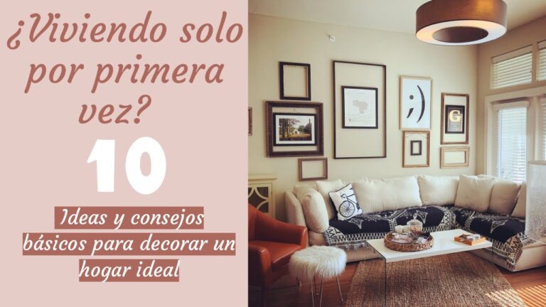 Estilo y Funcionalidad en la Decoraci&oacute;n de &Aacute;reas de Entrenamiento para Mascotas