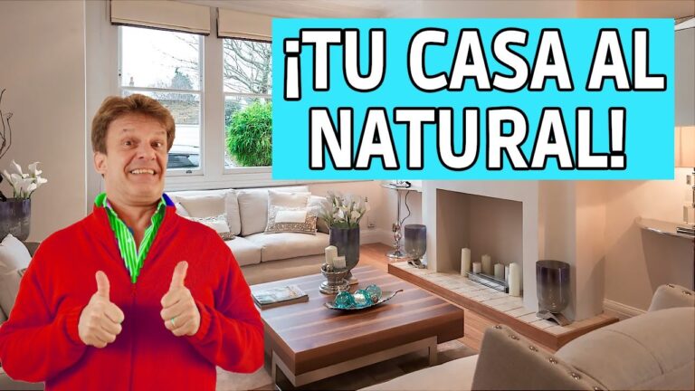 Incorporaci&oacute;n de Elementos Naturales en la Decoraci&oacute;n Moderna del Hogar