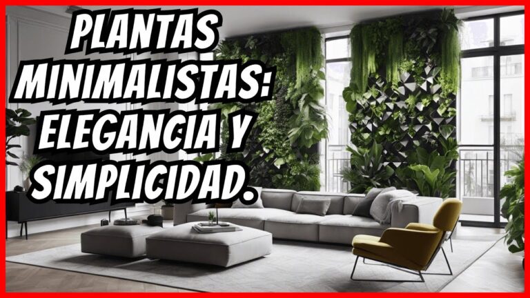 Minimalismo con Plantas: La Decoraci&oacute;n Ideal para Paredes