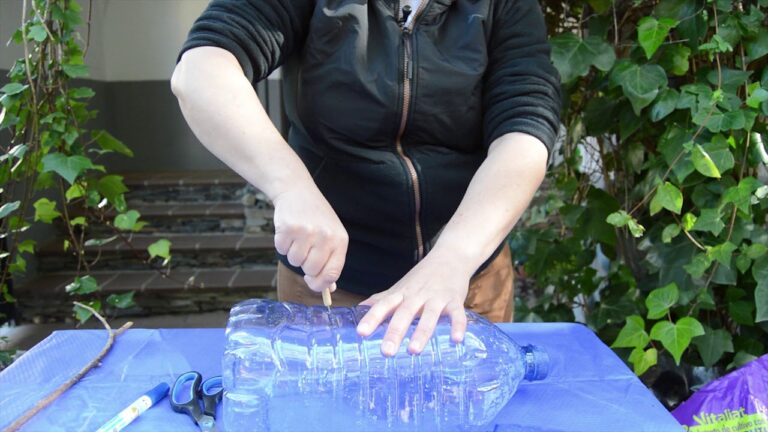 Ideas Creativas para Decorar Exteriores con Cultivos Verticales