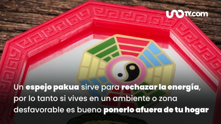 Consejos de Feng Shui para Seleccionar Plantas en el Hogar