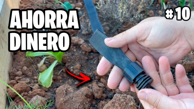 Ventajas del Riego Ecol&oacute;gico en el Hogar