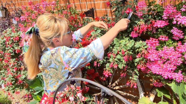 Gu&iacute;a Esencial para el Mantenimiento de Plantas y Flores en el Jard&iacute;n