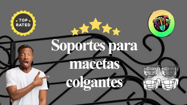 Plantas Colgantes: Decoraci&oacute;n &Uacute;nica para Paredes