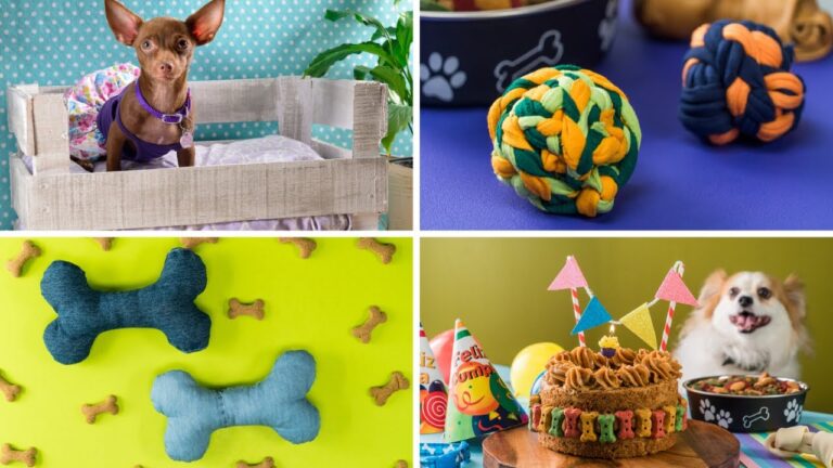 Ideas Creativas de Decoraci&oacute;n para Consentir a tus Mascotas