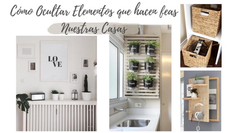 Plantas: Inspiraci&oacute;n Decorativa para el Hogar