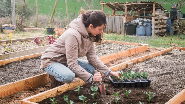 Decora tu Huerto Urbano: Gu&iacute;a Pr&aacute;ctica de Integraci&oacute;n