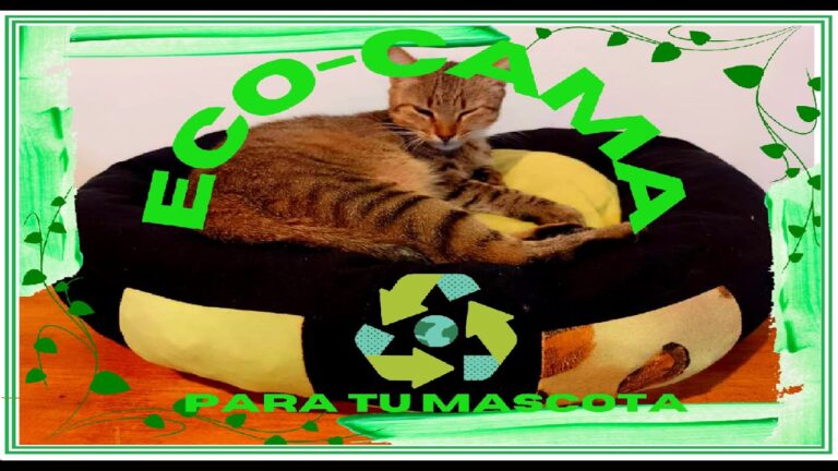 Camas para Mascotas: Decoraci&oacute;n de Hogar Personalizada y Funcional