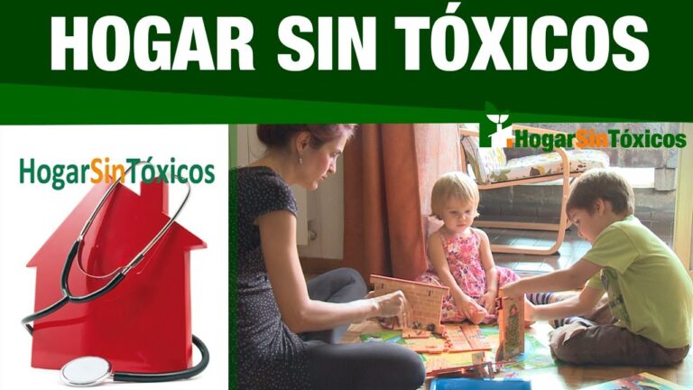 Productos Naturales para un Hogar Saludable y Sostenible