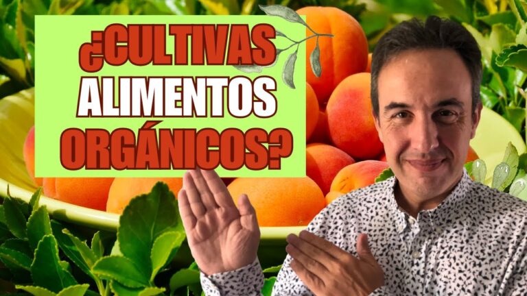 Cultivar Alimentos en un Hogar Ecol&oacute;gico: Gu&iacute;a Pr&aacute;ctica