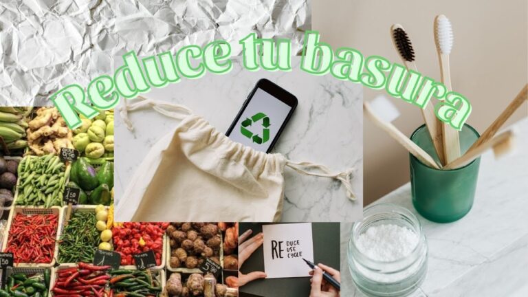 Estrategias Efectivas para Reducir el Pl&aacute;stico en un Hogar Sostenible