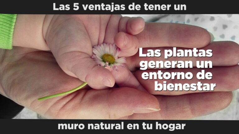 Beneficios de los Muros Verdes en la Decoraci&oacute;n del Hogar