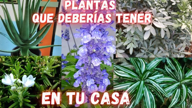 Beneficios de un Hogar Saludable con Jardines